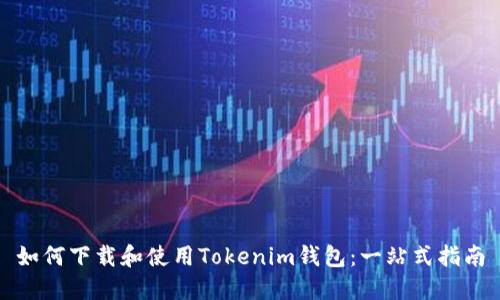 如何下载和使用Tokenim钱包：一站式指南