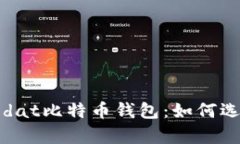 全面解析dat比特币钱包：如何选择与使用