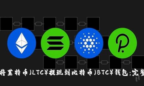 如何将莱特币（LTC）提现到比特币（BTC）钱包：完整指南
