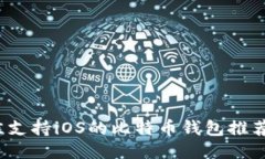 2023年最佳支持iOS的比特币钱包推荐及使用指南