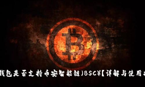 IM钱包是否支持币安智能链（BSC）？详解与使用指南