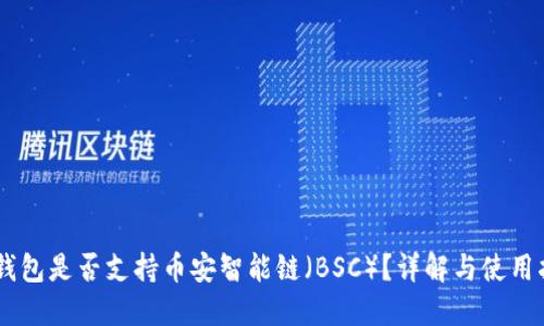 IM钱包是否支持币安智能链（BSC）？详解与使用指南