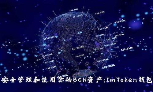 如何安全管理和使用你的BCH资产：ImToken钱包详解