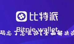 IM钱包交易密码忘了怎么办？全面解决办法与预防