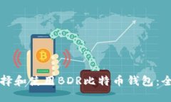 如何选择和使用BDR比特币钱包：全面指南