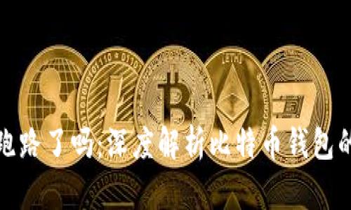 比特币钱包跑路了吗：深度解析比特币钱包的安全与风险