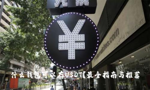 什么钱包可以存USDT？最全指南与推荐
