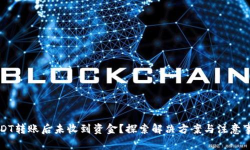 USDT转账后未收到资金？探索解决方案与注意事项