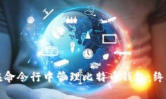 如何在命令行中管理比特币钱包：终极指南