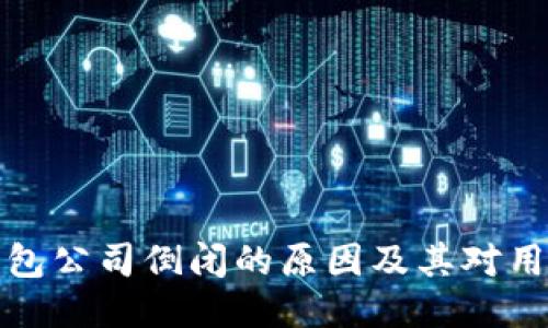 比特币钱包公司倒闭的原因及其对用户的影响