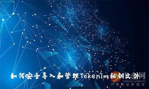 如何安全导入和管理Tokenim私钥文件