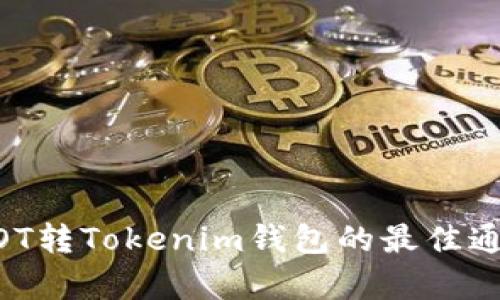 币安DOT转Tokenim钱包的最佳通道解析