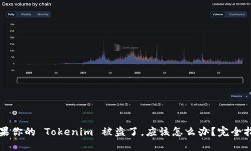 如果你的 Tokenim 被盗了，应该怎么办？完全指南