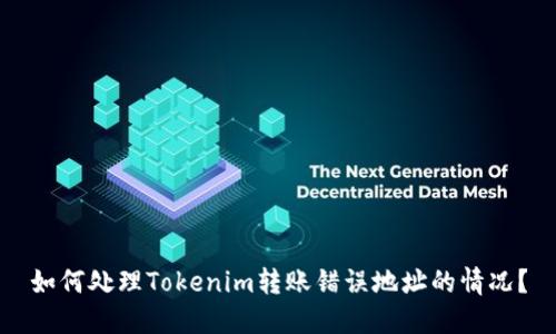 如何处理Tokenim转账错误地址的情况？