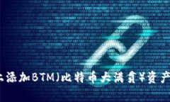 如何在Tokenim平台上添加BTM（比特币大满贯）资产