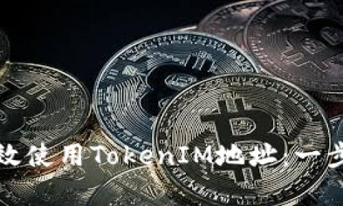 如何有效使用TokenIM地址：一步步指南