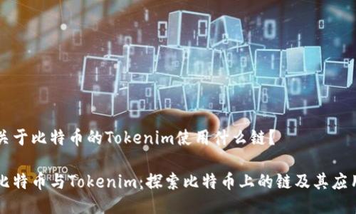 关于比特币的Tokenim使用什么链？

比特币与Tokenim：探索比特币上的链及其应用