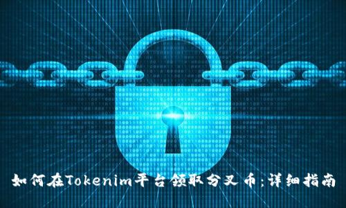 如何在Tokenim平台领取分叉币：详细指南