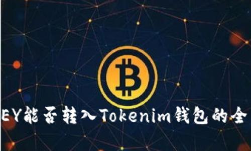 币乎KEY能否转入Tokenim钱包的全面解析