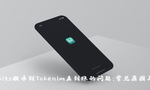 如何解决Bitz提币到Tokenim未到账的问题：常见原因与解决方案