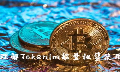深入理解Tokenim能量租赁使用指南