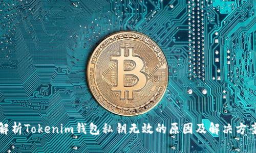 解析Tokenim钱包私钥无效的原因及解决方案