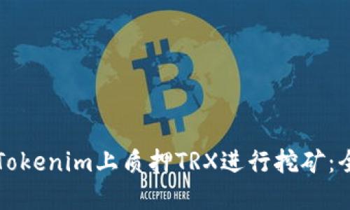 如何在Tokenim上质押TRX进行挖矿：全面指南