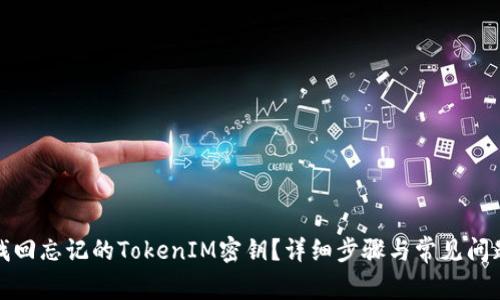 如何找回忘记的TokenIM密钥？详细步骤与常见问题解答