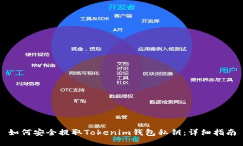 如何安全提取Tokenim钱包私钥：详细指南