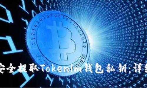 如何安全提取Tokenim钱包私钥：详细指南