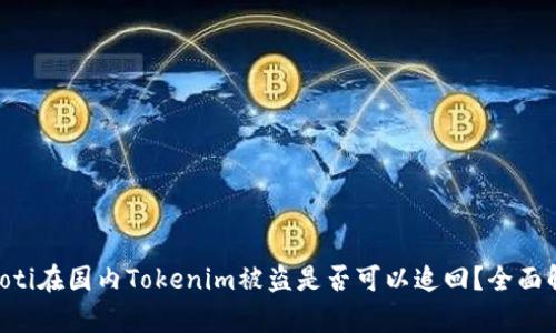 ziaoti在国内Tokenim被盗是否可以追回？全面解析