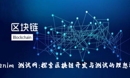 Tokenim 测试网：探索区块链开发与测试的理想选择