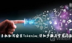 苹果手机如何安装Tokenim：详细步骤与常见问题解