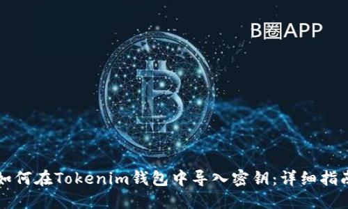 如何在Tokenim钱包中导入密钥：详细指南