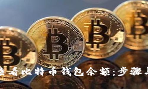 如何查看比特币钱包余额：步骤与技巧