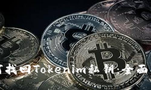 如何找回Tokenim私钥：全面指南