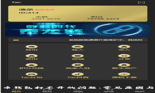 解决比特币钱包打不开的问题：常见原因与解决方案