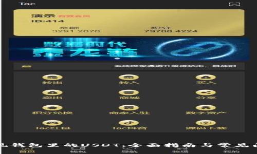 如何提现钱包里的USDT：全面指南与常见问题解析