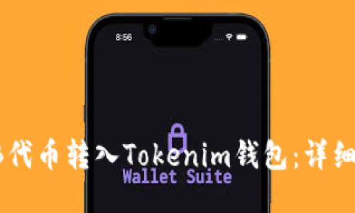 如何将SHIB代币转入Tokenim钱包：详细步骤与技巧