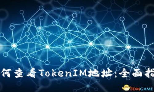 如何查看TokenIM地址：全面指南