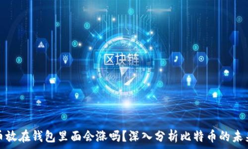   
比特币放在钱包里面会涨吗？深入分析比特币的未来趋势