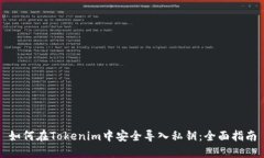 如何在Tokenim中安全导入私钥：全面指南