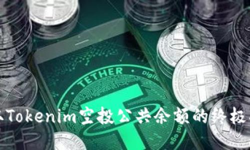 获取Tokenim空投公共余额的终极指南