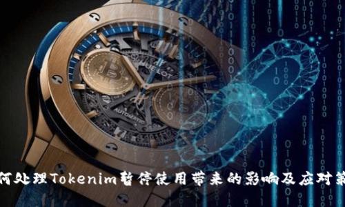 如何处理Tokenim暂停使用带来的影响及应对策略