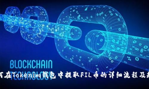 如何在Tokenim钱包中提取FIL币的详细流程及规则