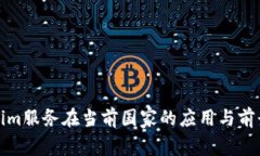Tokenim服务在当前国家的应用与前景分析