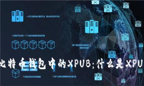 全面解析比特币钱包中的XPUB：什么是XPUB及其应用