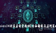TokenIM被盗后能否找回？全面解析与应对策略