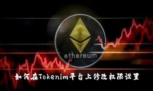 如何在Tokenim平台上修改权限设置